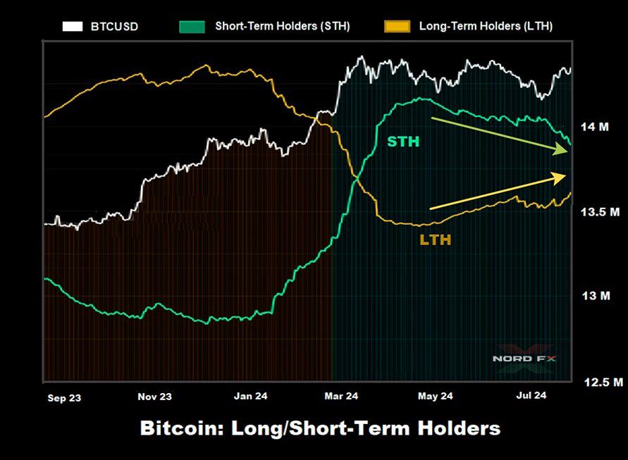 Forex and Cryptocurrency Forecast for August 05 – 09, 20241