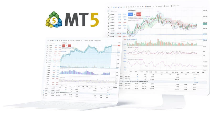 MT5