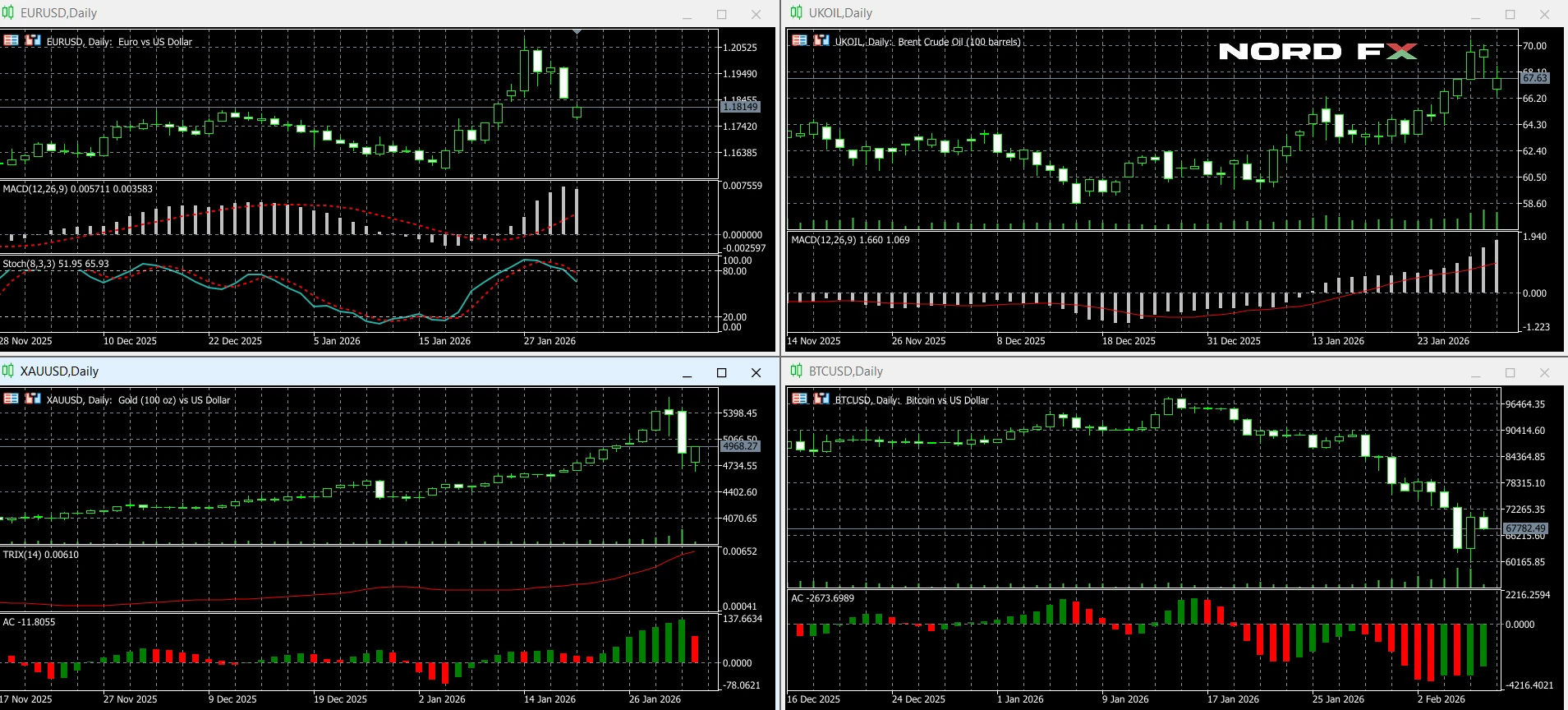 Forecast_09-13_02_2026
